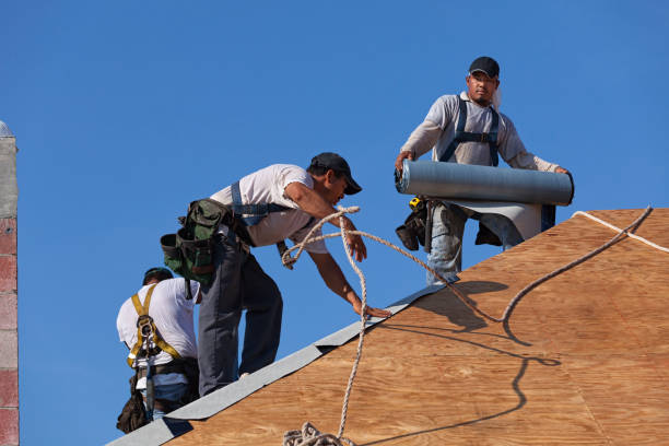 Best Metal Roofing Contractor  in Riverton, IL